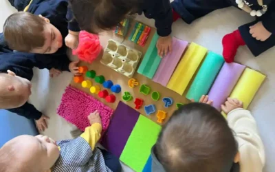 🍁✨ Noviembre y diciembre han sido meses llenos de magia en nuestro cole ✨🎄